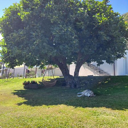 Casa Vacanze Perla Del Lago Domaso Εξωτερικό φωτογραφία