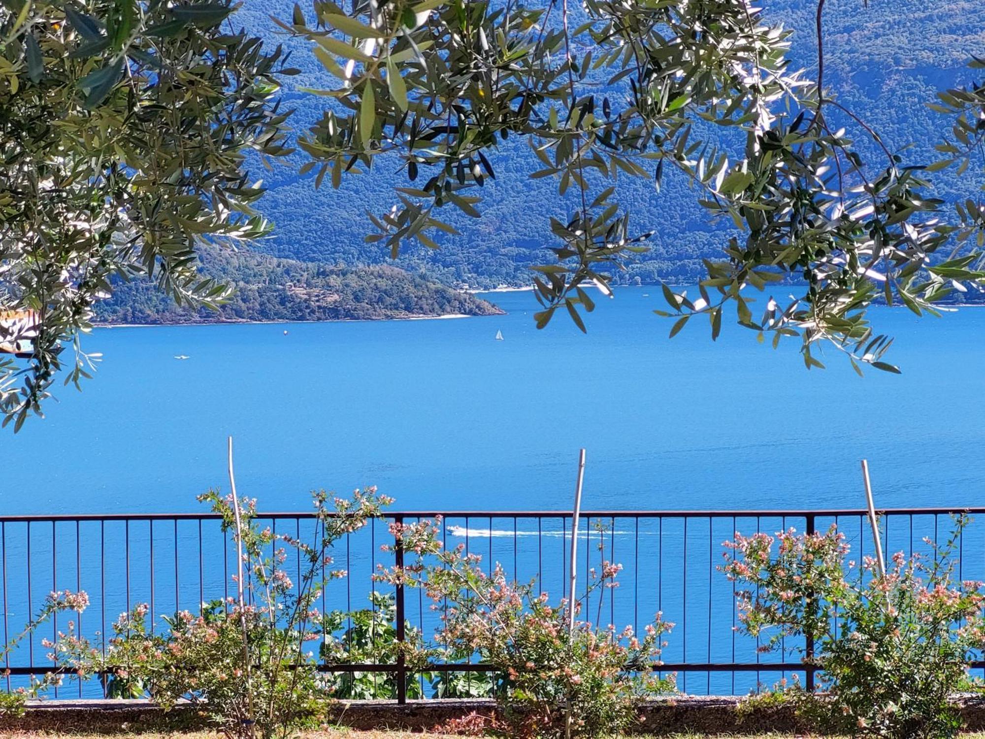 Casa Vacanze Perla Del Lago Domaso Εξωτερικό φωτογραφία