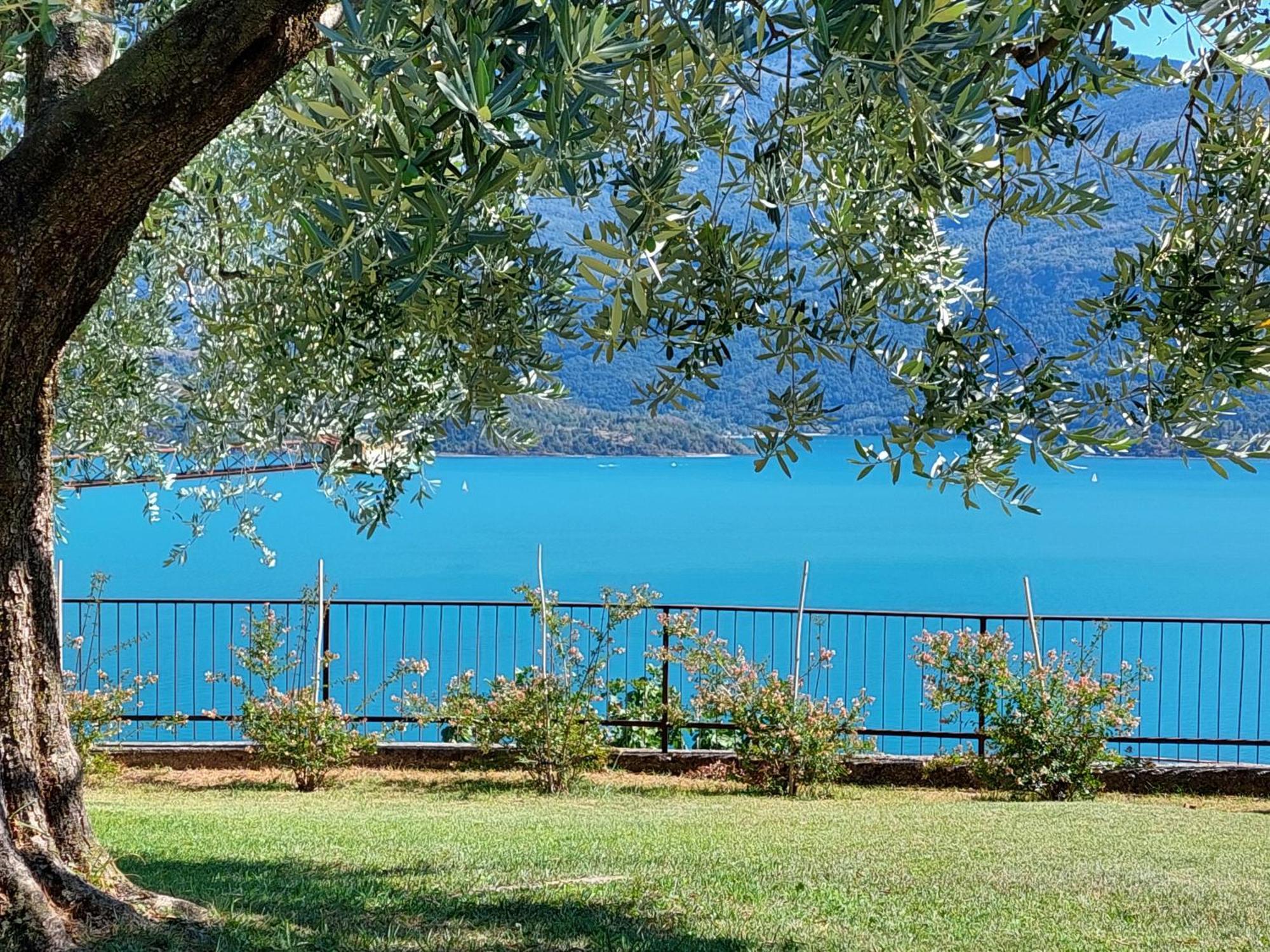 Casa Vacanze Perla Del Lago Domaso Εξωτερικό φωτογραφία